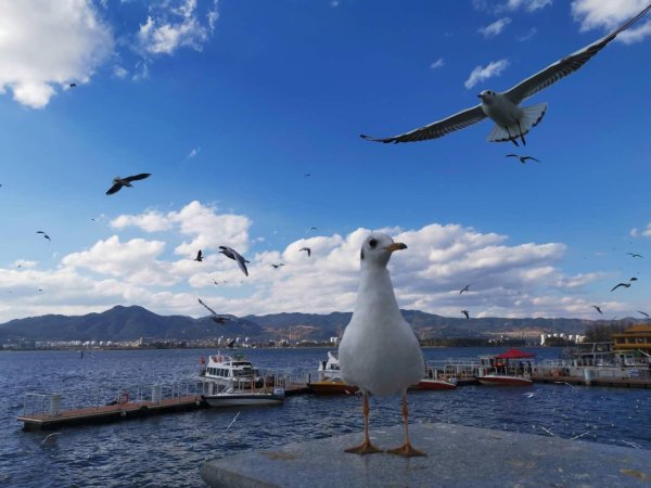 配资平台导航 春季求职、跳槽去哪：人工智能是热门，三四线城市吸引力提升